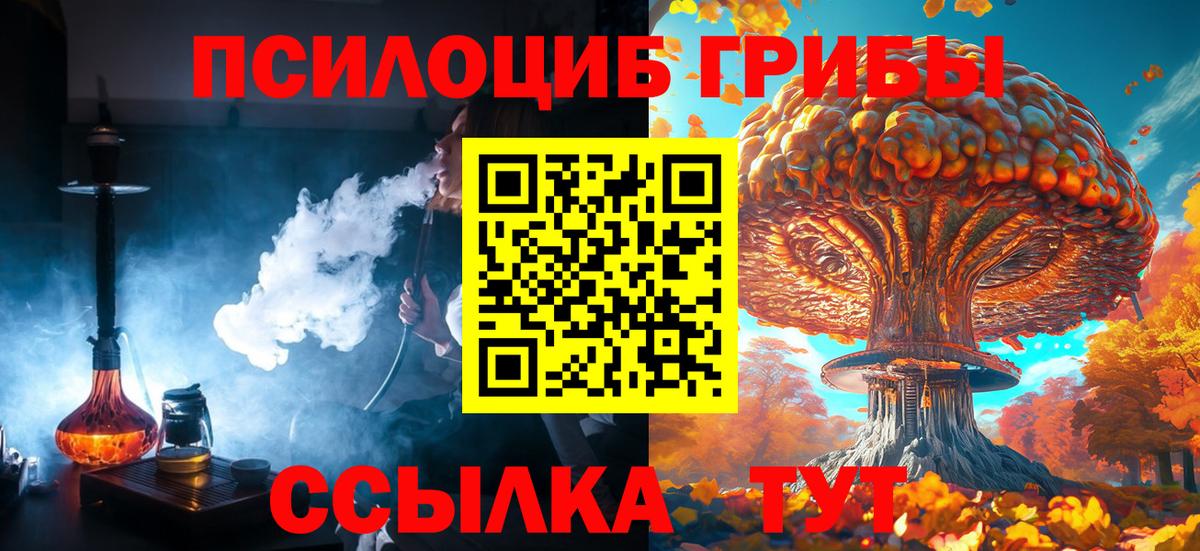 Псилоцибиновые грибы Psilocybine cubensis  Галлюциногенные грибы Cubensis  Вход с VPN  Ишимбай 